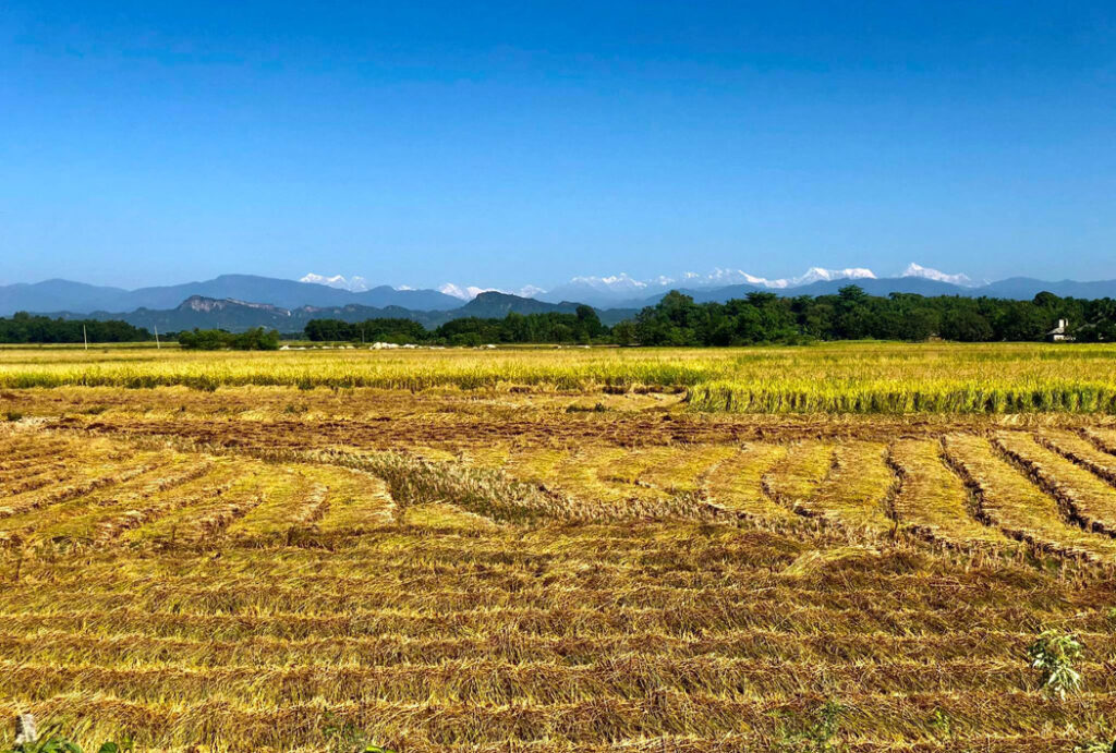 Terai Region of Nepal